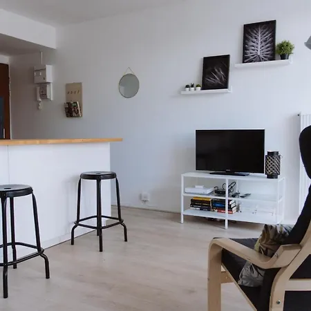 Marcel Langer: Newly Renovated Studio / Saint-agne Toulouse